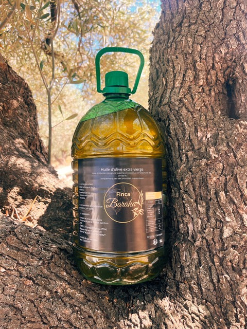 Huile d'olive extra vierge non filtrée – Le Bidon Recharge 5L (Vert Teinté)